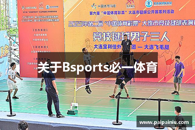 关于Bsports必一体育