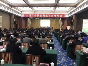 中国产业扶贫现场会视频,创新模式助力脱贫攻坚战