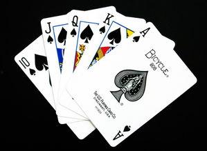 国产扑克牌切牌视频大全,视频大全深度解析